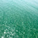 Holiday home Barcaresa-maisonnette Vue Pieds Dans L'eau Wifi Leucate