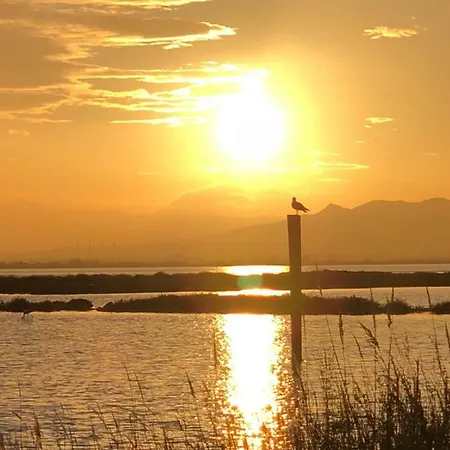 Barcaresa-maisonnette Vue Pieds Dans L'eau Wifi Nyaraló Leucate