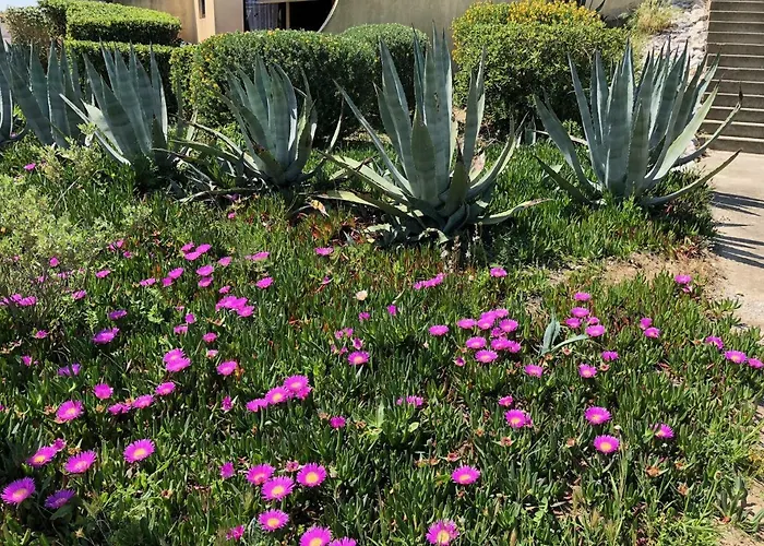 Barcaresa-maisonnette Vue Pieds Dans L'eau Wifi 펜션 *